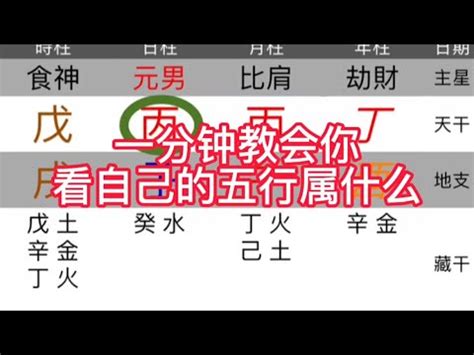 如何知道自己屬什麼|教你快速查自己的五行屬性，入門篇（一看就會，一試。